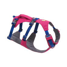 Ruffwear Flagline Adventure Harness