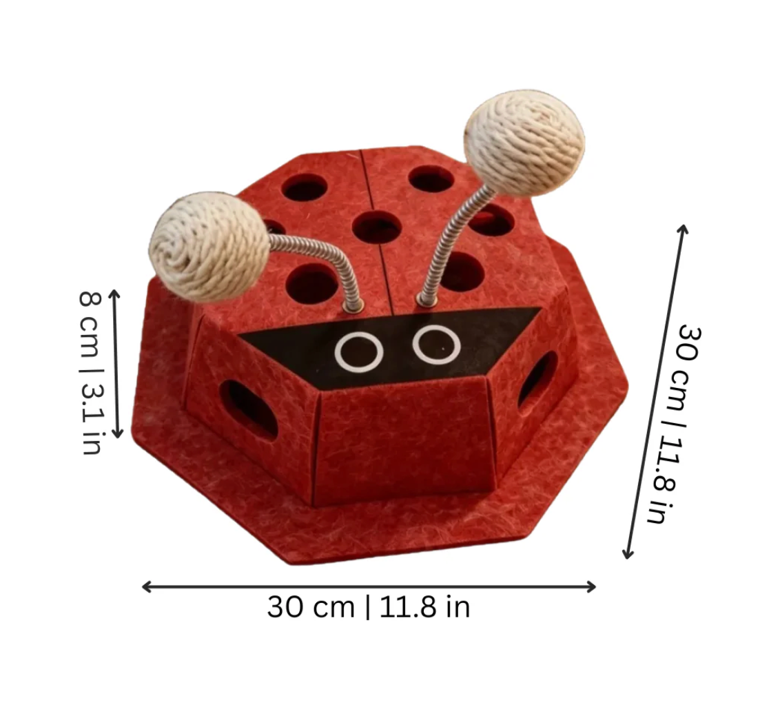 WhiskerQuest Interactive Cat Puzzle Toy with Teaser Balls - Image 7